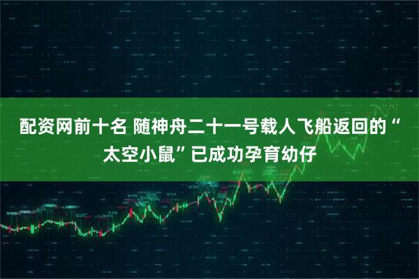 配资网前十名 随神舟二十一号载人飞船返回的“太空小鼠”已成功孕育幼仔