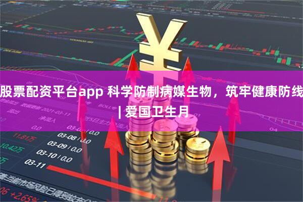 股票配资平台app 科学防制病媒生物，筑牢健康防线 | 爱国卫生月