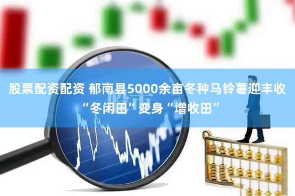 股票配资配资 郁南县5000余亩冬种马铃薯迎丰收 “冬闲田”变身“增收田”